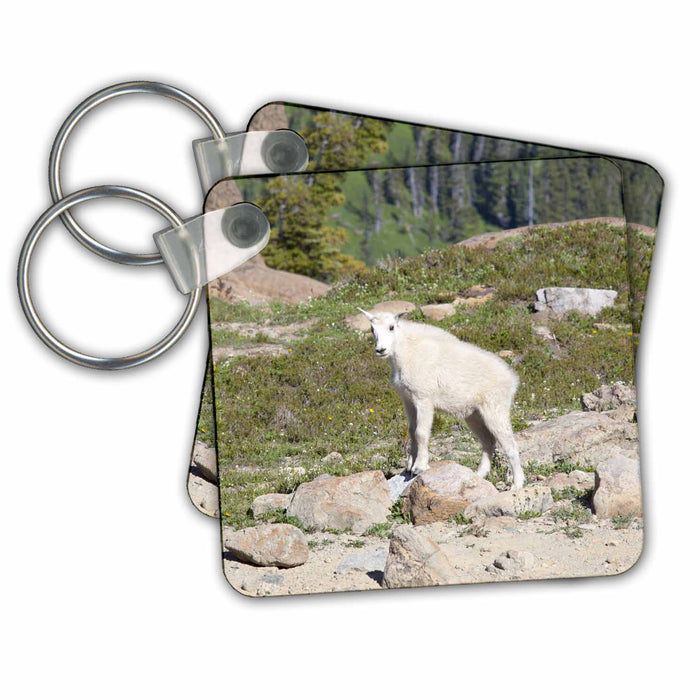 Key Chain - WA, Alpine Lakes, Ingalls Lake, Baby Goat - US48 JWI3945 - Jamie and Judy Wild Goats