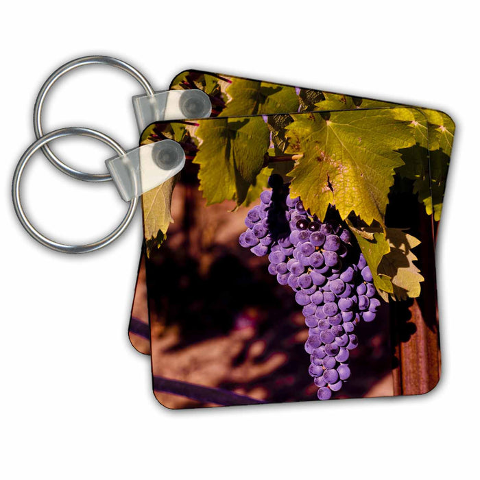 Key Chain - USA, Northwest, Eastern Washington, Kiona Winery - US48 RDU0300 - Richard Duval Wineries