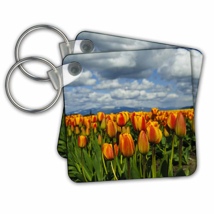 Key Chain - USA, Washington, Skagit Valley, Tulip flowers - US48 RDU0400 - Richard Duval Flowers