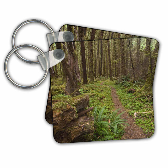 Key Chain - Trail, Big Flat, Hoh River, Olympic NP, Washington - US48 RSC0457 - Roddy Scheer Washington