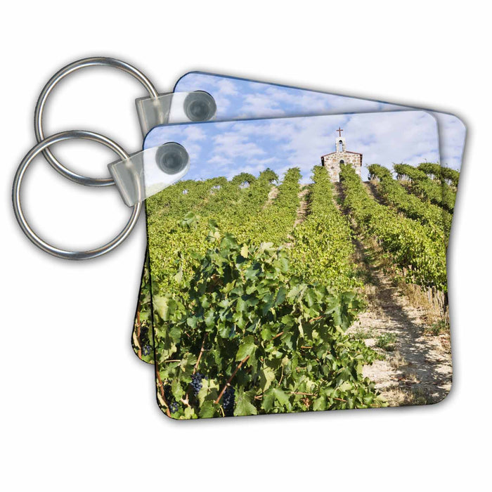 Key Chain - WA, Yakima Valley, Syrah Grapes, Red Willow Vineyard - US48 RTI0195 - Rob Tilley Vineyards