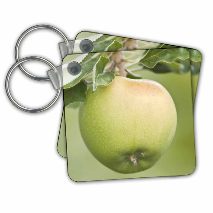 Key Chain - WA, Columbia River Valley, Granny Apple agriculture - US48 RTI0214 - Rob Tilley Agriculture