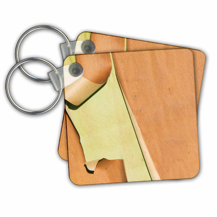 Key Chain - USA, WA, Marrowstow Island, Madrona Tree - US48 RTI0239 - Rob Tilley Trees