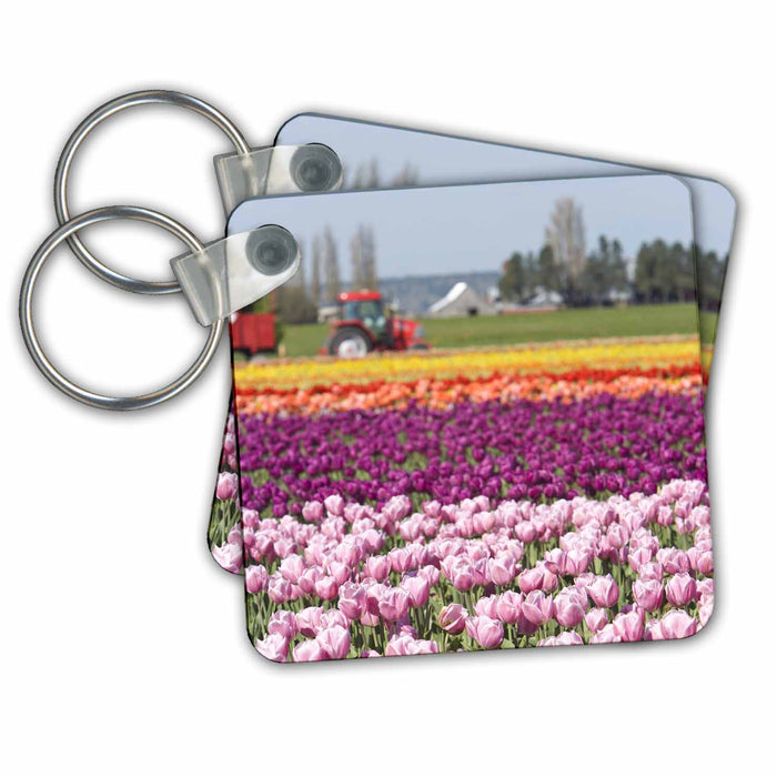 Key Chain - WA, La Conner. Skagit Valley Tulip farm - US48 SWS0111 - Stuart Westmorland Farms