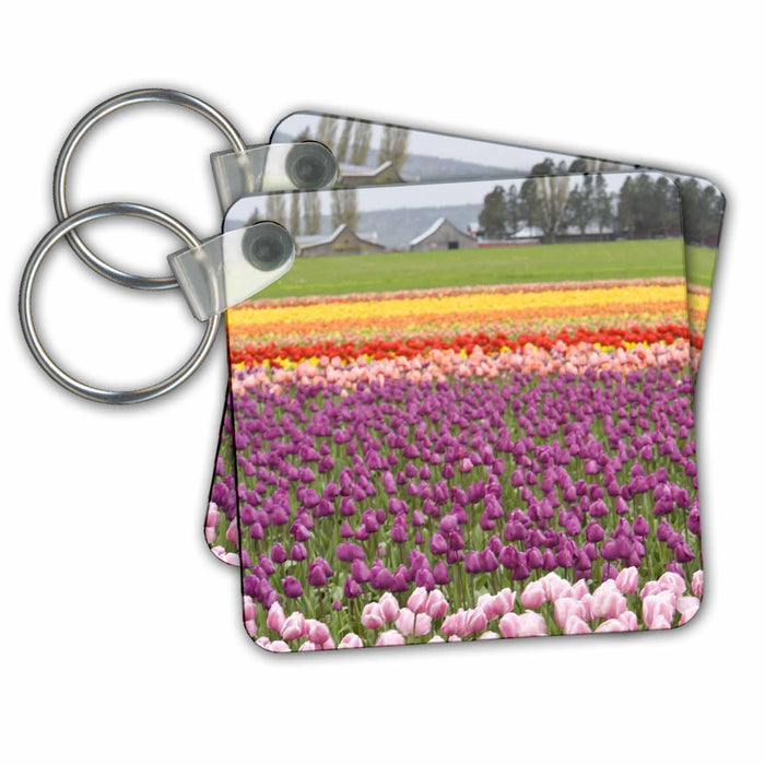 Key Chain - WA, La Conner. Skagit Valley Tulip farm - US48 SWS0114 - Stuart Westmorland Farms