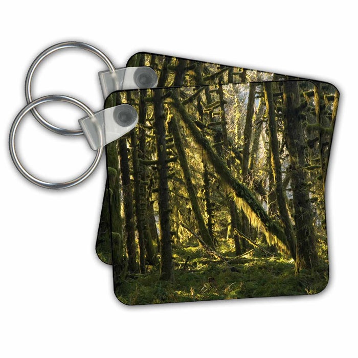 Key Chain - WA, Olympic NP, Quinault Rainforest - US48 TDR0017 - Trish Drury Rainforests