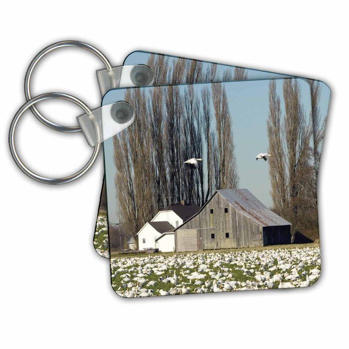 Key Chain - WA, Skagit Valley, Masses of Snow Geese birds - US48 TDR0040 - Trish Drury Birds