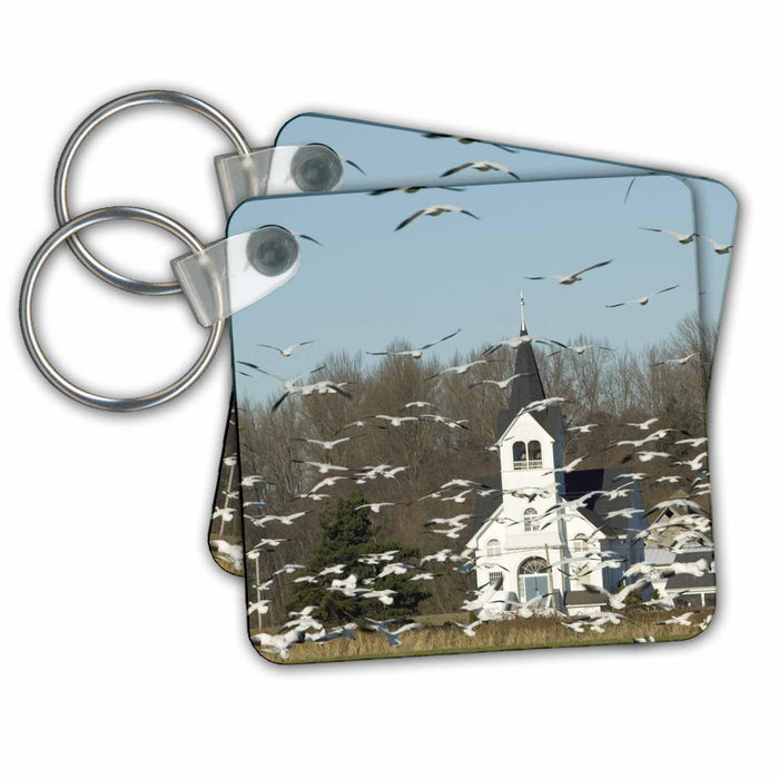 Key Chain - WA, Skagit Valley, Masses of Snow Geese birds - US48 TDR0043 - Trish Drury Birds