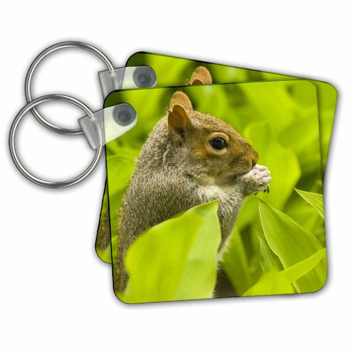 Key Chain - Western Gray Squirrel, Lily of the Valley - US48 TDR0353 - Trish Drury Squirrels