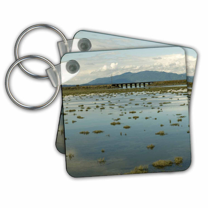 Key Chain - Washington, Skagit County, Anacortes, Tidal flats - US48 TDR0419 - Trish Drury Washington