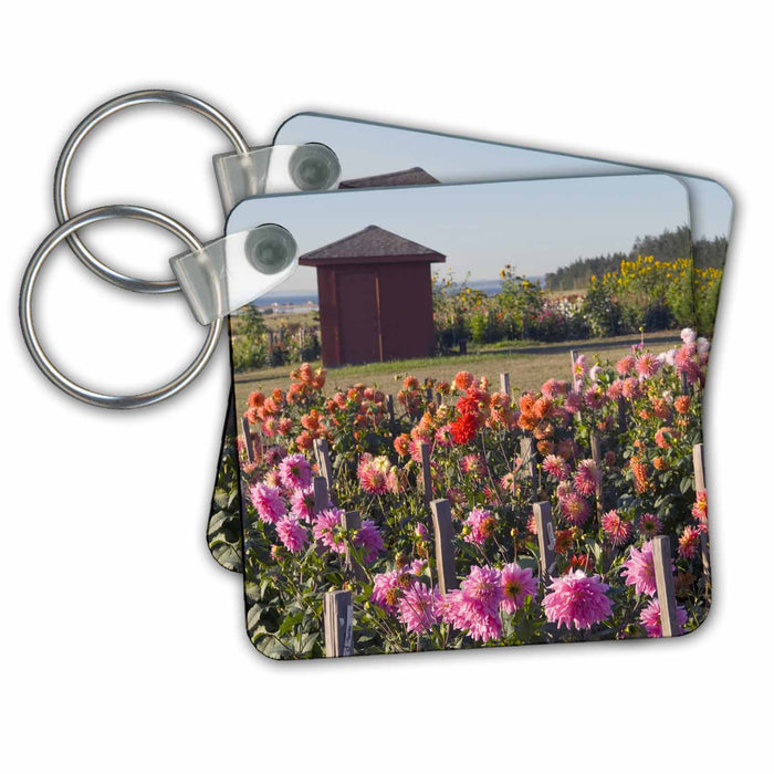 Key Chain - WA, Whidbey Island, Admiralty Inlet, Dahlia flowers - US48 TDR0665 - Trish Drury Flowers