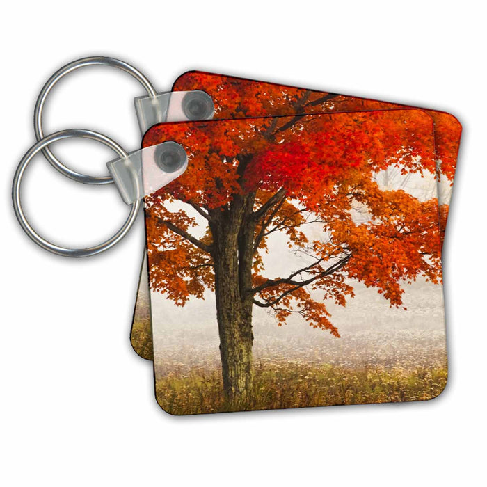 Key Chain - West Virginia, Davis. Red maple in autumn color - US49 BJA0001 - Jaynes Gallery Autumn