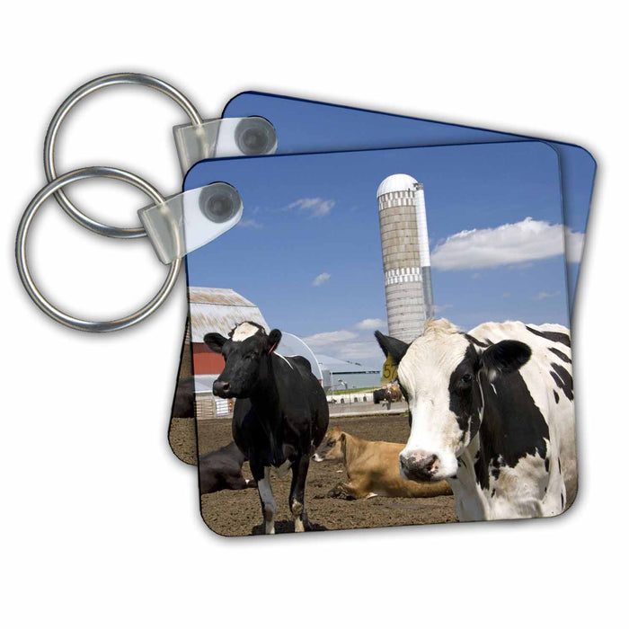 Key Chain - Cows, red barn, silo, farm, Wisconsin - US50 DFR0047 - David R. Frazier Farms