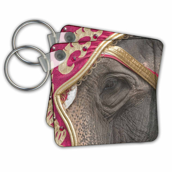 Key Chain - Wisconsin, Elephants at Great CIrcus Parade - US50 MDE0078 - Michael DeFreitas The Circus