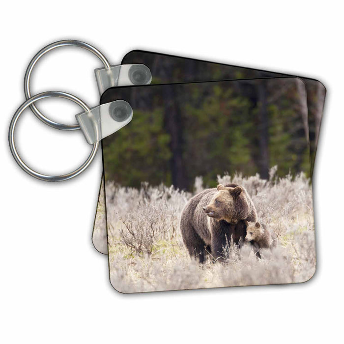 Key Chain - Grizzly bears, Yellowstone NP, Wyoming - US51 AJE0040 - Adam Jones Bears