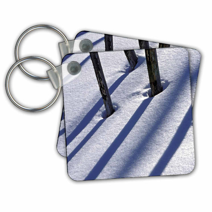 Key Chain - Wyoming, Yellowstone NP, Tree trunks - US51 BJA0004 - Jaynes Gallery Yellowstone