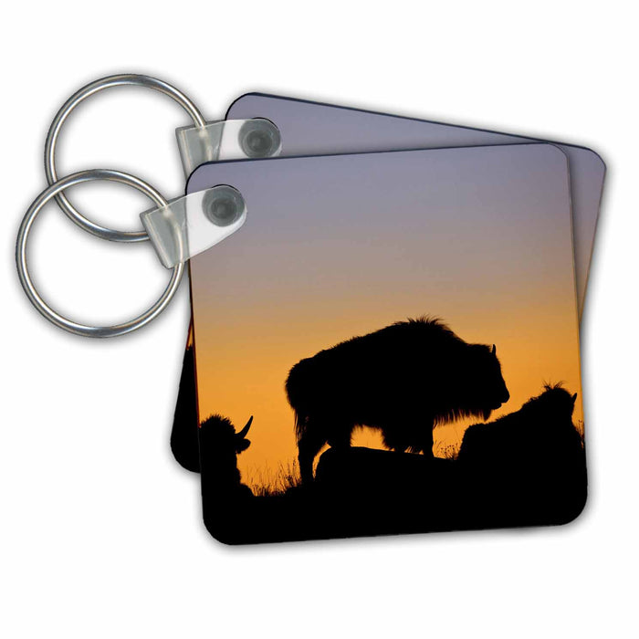 Key Chain - Wyoming, Yellowstone NP, Bison on ridge at sunset - US51 BJA0072 - Jaynes Gallery Bison