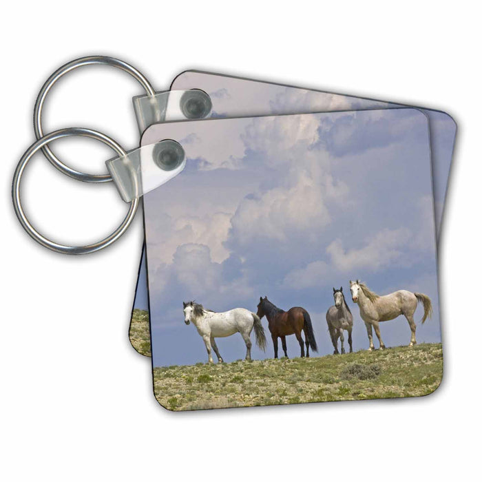 Key Chain - Wyoming, Wild horses and building storm clouds - US51 BJA0078 - Jaynes Gallery Horses