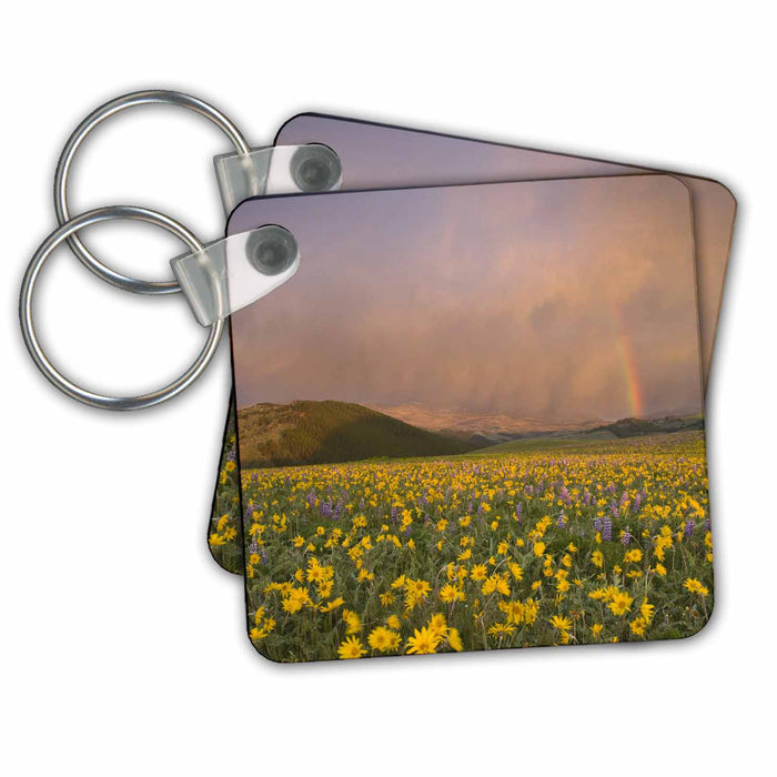 Key Chain - Wildflower meadow, Bighorn Mountains of Wyoming - US51 CHA0051 - Chuck Haney Wyoming