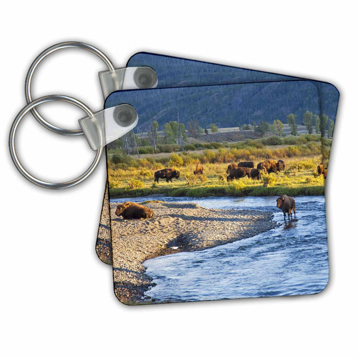 Key Chain - Bison herd, Lamar Valley, Yellowstone NP, Wyoming - US51 CHA0088 - Chuck Haney Bison