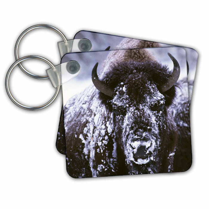 Key Chain - Yellowstone NP, Bison in Winter - US51 CSL0007 - Charles Sleicher Bison