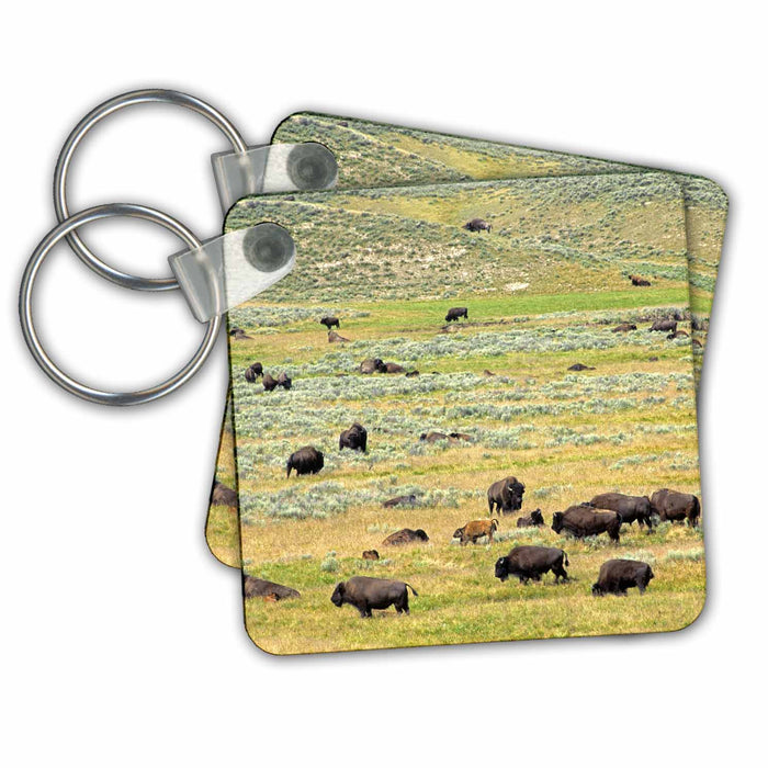 Key Chain - Bison in Yellowstone National Park, Wyoming - US51 DFR0077 - David R. Frazier Bison