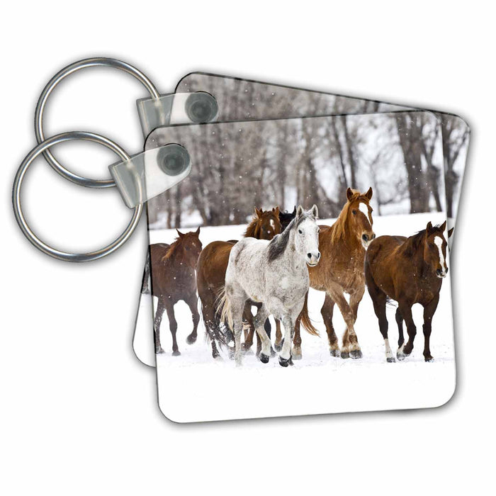 Key Chain - Running horses on Hideout Ranch, Shell, Wyoming - US51 JRE0031 - Joe Restuccia III Horses