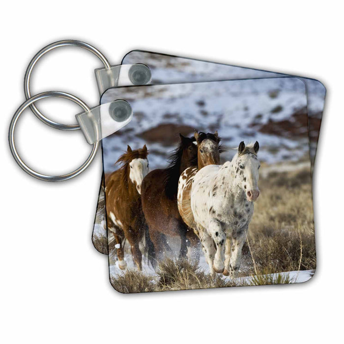 Key Chain - Winter, horses, Hideout Ranch, Shell, Wyoming - US51 JRE0070 - Joe Restuccia III Horses