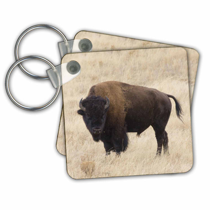 Key Chain - Wyoming, Yellowstone NP, Bison in Lamar Valley - US51 JWI0359 - Jamie and Judy Wild Bison