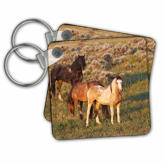 Key Chain - Feral Horses, sagebrush country, Wyoming - US51 LDI0004 - Larry Ditto Horses