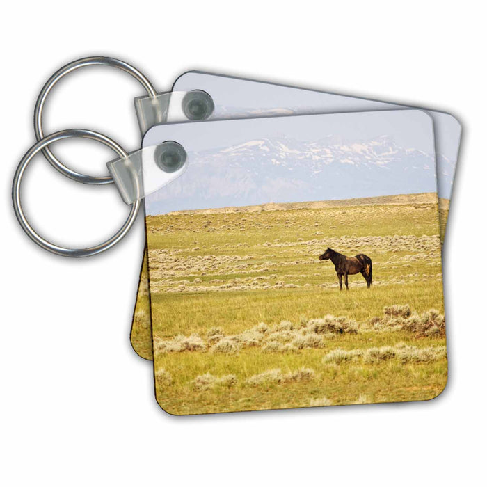 Key Chain - Feral Horses, sagebrush country, Wyoming - US51 LDI0012 - Larry Ditto Horses