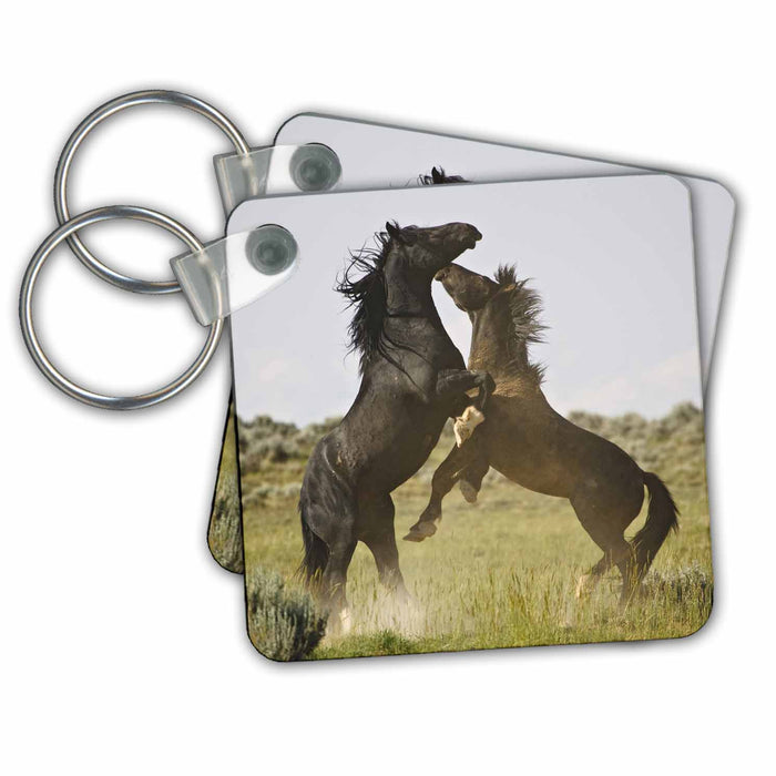 Key Chain - Feral Horses, sagebrush country, Wyoming - US51 LDI0057 - Larry Ditto Horses