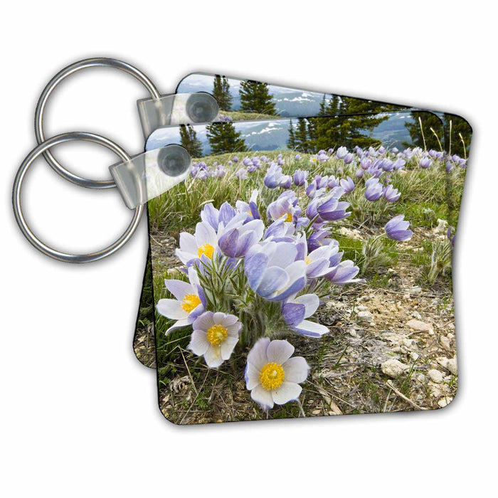 Key Chain - Wyoming, Bighorns, Medicine Wheel, Silky Pasqueflower - US51 LDI0118 - Larry Ditto Flowers