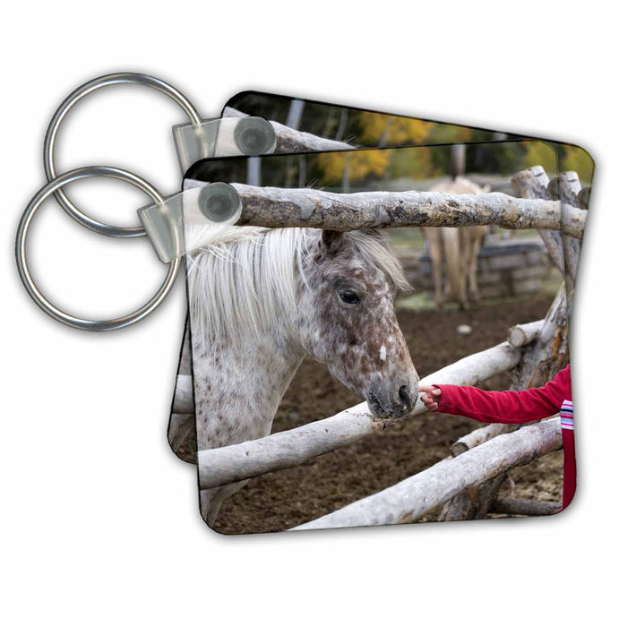 Key Chain - Wyoming. Grand Tetons NP, Girl pets pony in stable - US51 LHO0010 - Lisa Hoffner Children