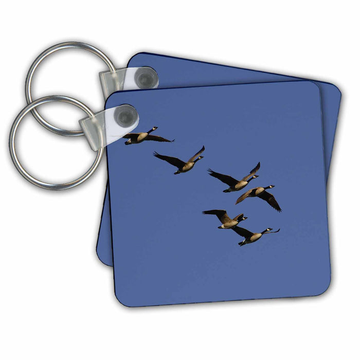 Key Chain - Canada Geese, Grand Teton NP, Wyoming - US51 POX0040 - Pete Oxford Birds