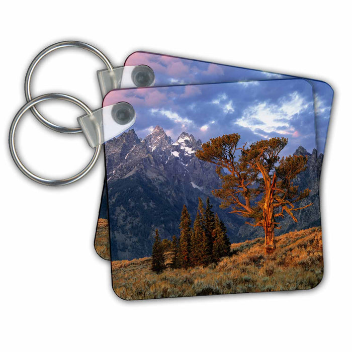 Key Chain - USA, Wyoming, Grand Teton NP, Lone cedar tree - US51 RER0002 - Ric Ergenbright Trees