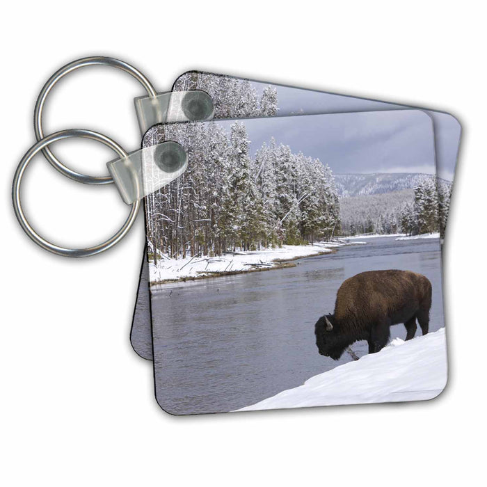 Key Chain - Wyoming, Yellowstone NP, Bison beside a river - US51 RJA0005 - Rebecca Jackrel Bison