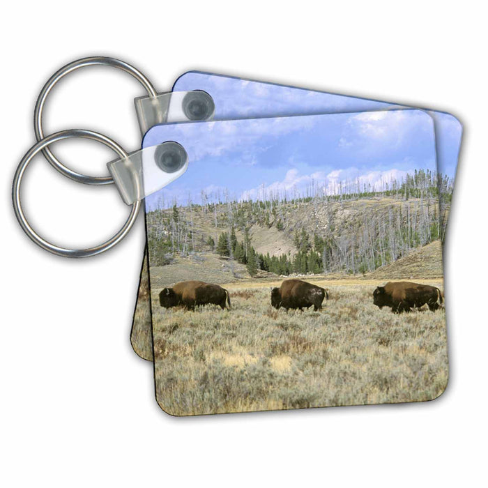 Key Chain - USA, Wyoming, Yellowstone NP, Bison - US51 TVE0011 - Tom Vezo Bison