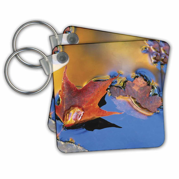 Key Chain - USA, Northeast, Red Maple Leaf in Autumn - US52 BJA0002 - Jaynes Gallery Autumn