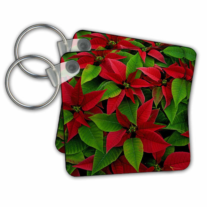 Key Chain - Red poinsettia flowers with green leaves - US52 BJA0014 - Jaynes Gallery Flowers