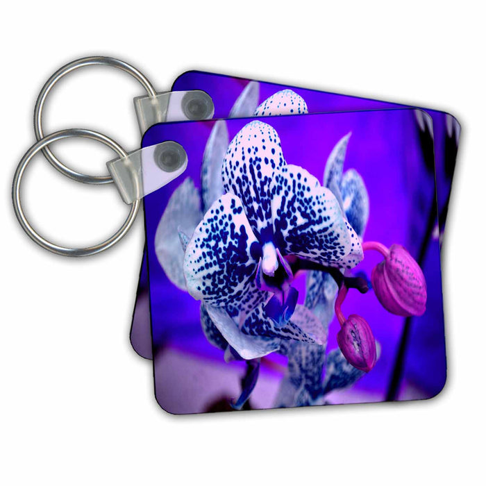 Key Chain - Wild Blue Beauty Orchid Florals and Bouquets