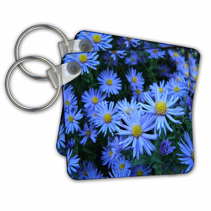 Key Chain - Wall of Vibrant Blue Daisies Florals and Bouquets