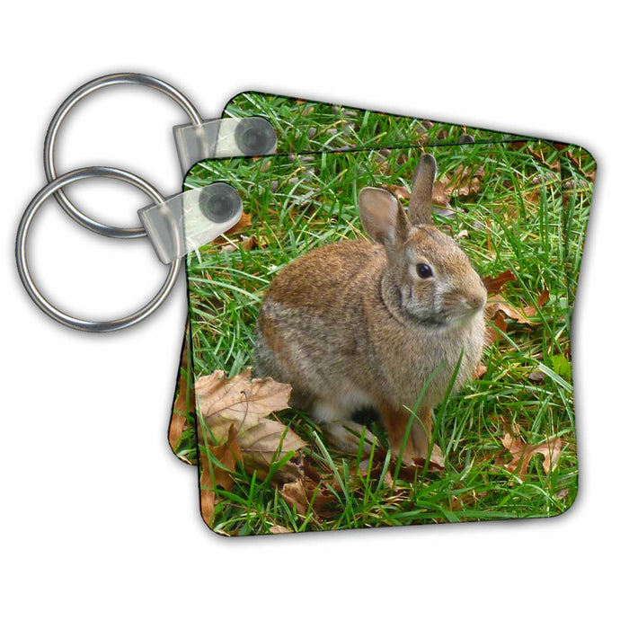 Key Chain - Bunny Rabbit In Autumn Wild Animals