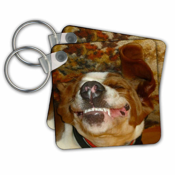 Key Chain - Happy Smiling Basset Hound Dogs