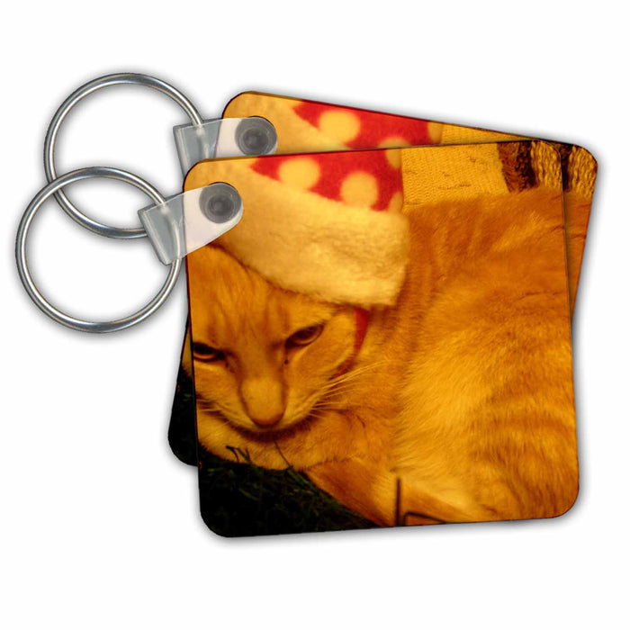 Key Chain - Precious little cat ready for Christmas in her Santa hat s Photos - Christmas