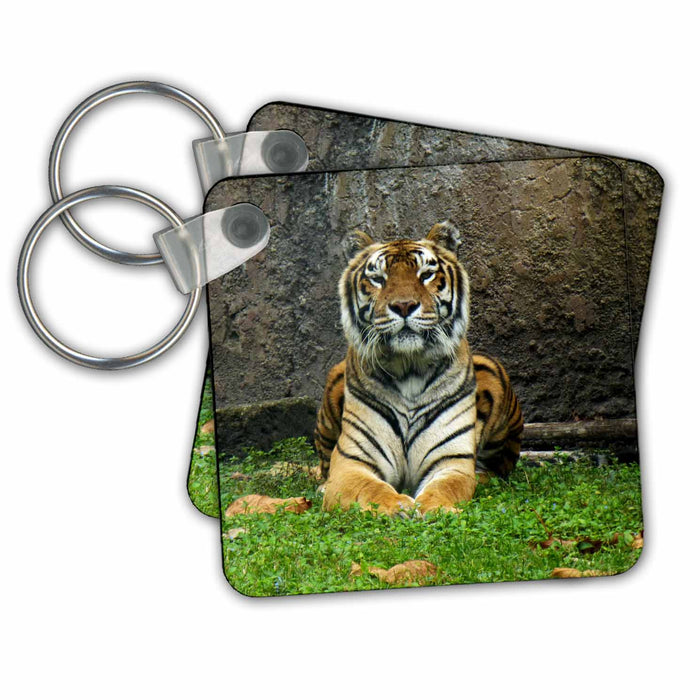 Key Chain - Gorgeous majestic tiger keeping a look out s Photos - Florida