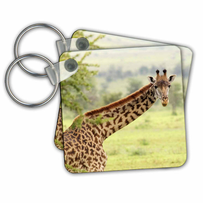 Key Chain - Giraffe looking at me, taken in Tanzania Tanzania