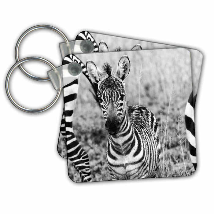 Key Chain - Zebra Baby in black and white, taken in Tanzania Tanzania