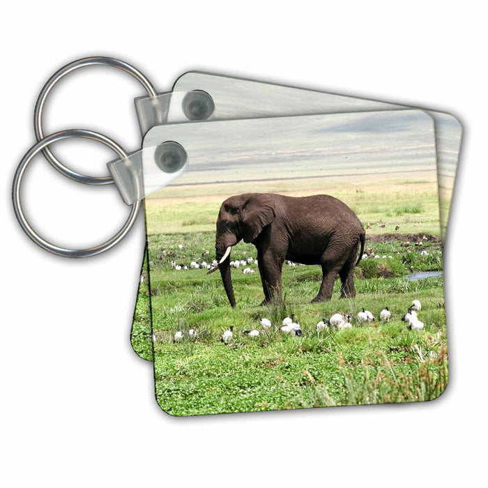 Key Chain - Longly Elephant with birds in Ngorongoro Crater, Tanzania Tanzania