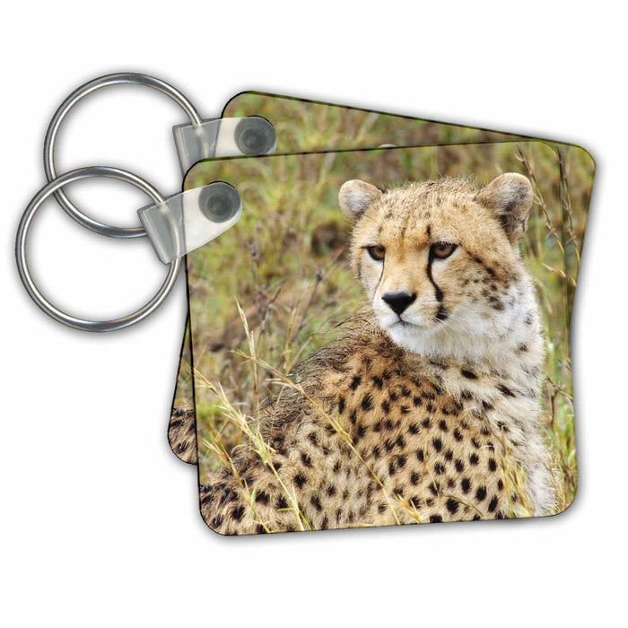 Key Chain - Cheetah Face, Closeup, Tanzania Tanzania